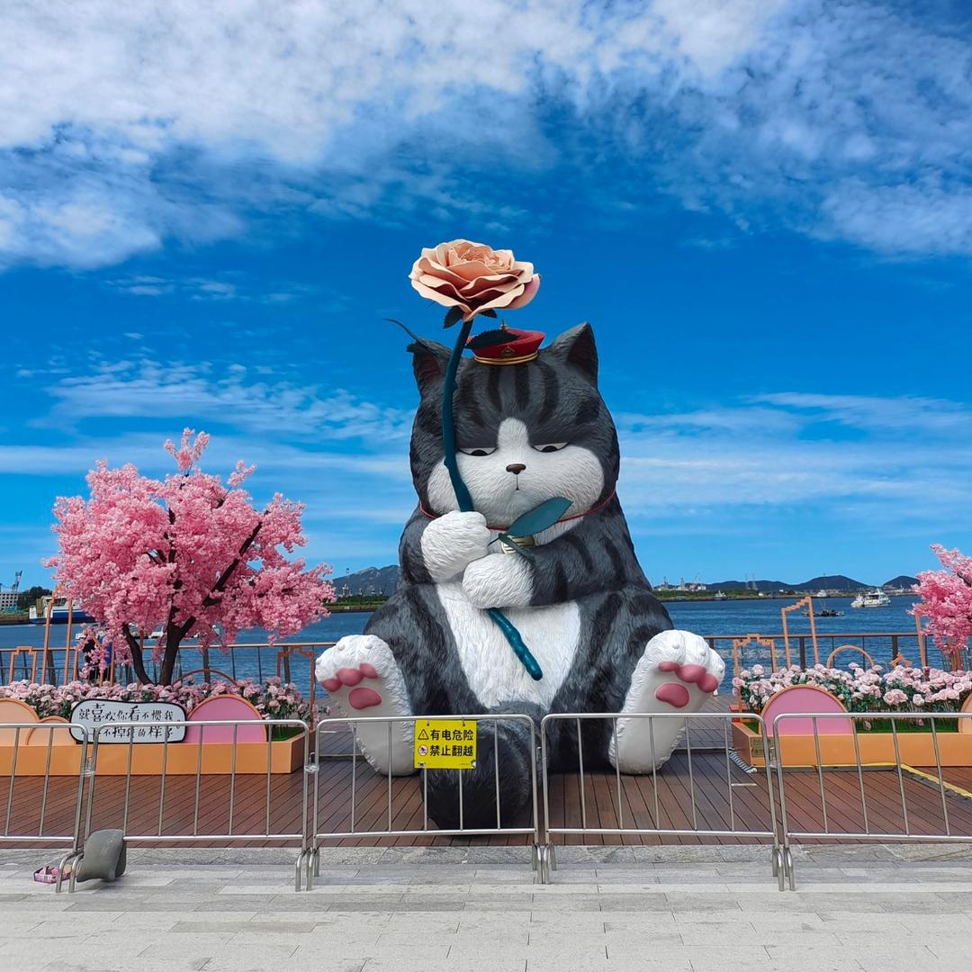 🐶东西的日常