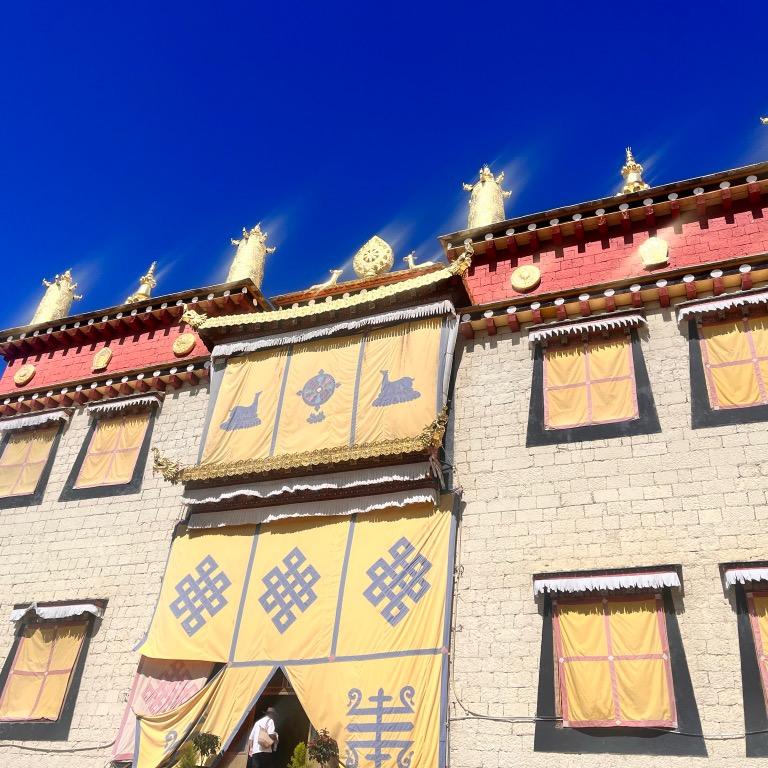 两个宝的高兴
