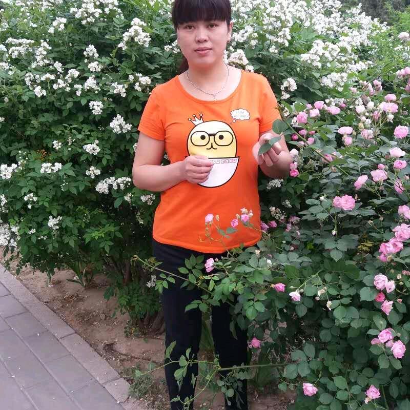 肖桐新发地长年代卖散花各种蔬菜