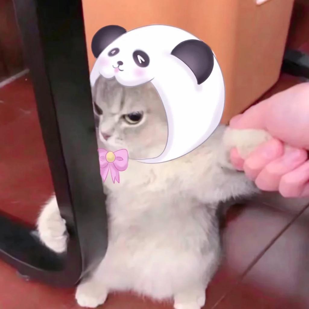 小Ye爱睡觉w