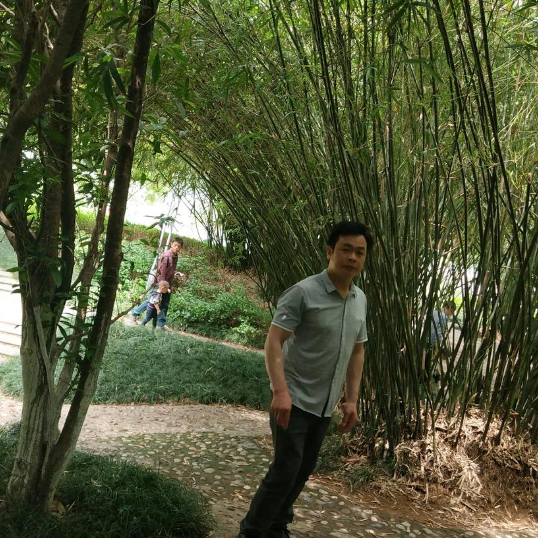山水相依