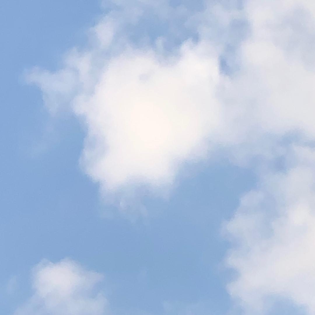 蒋薇