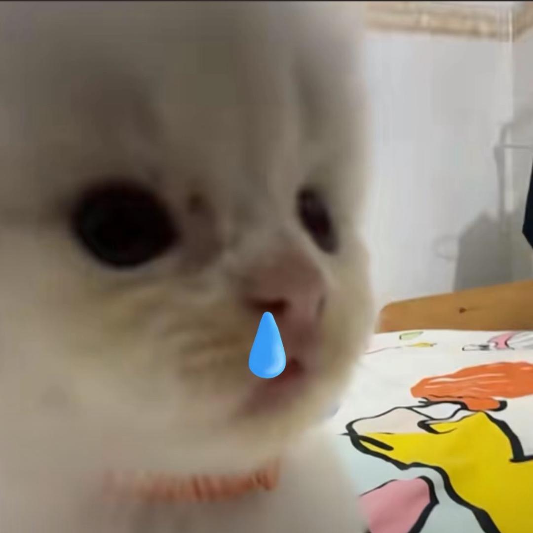 🐧.