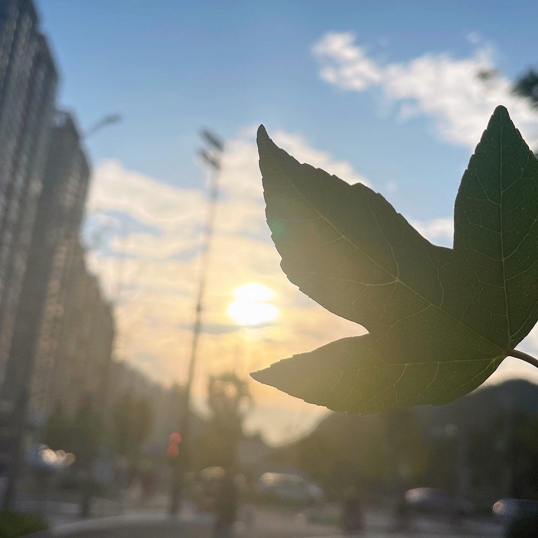 米粒