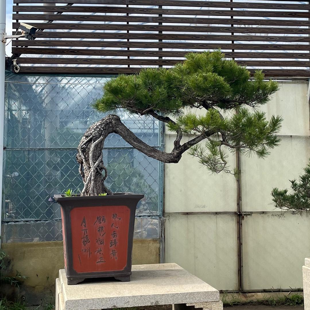 庭院美好生活