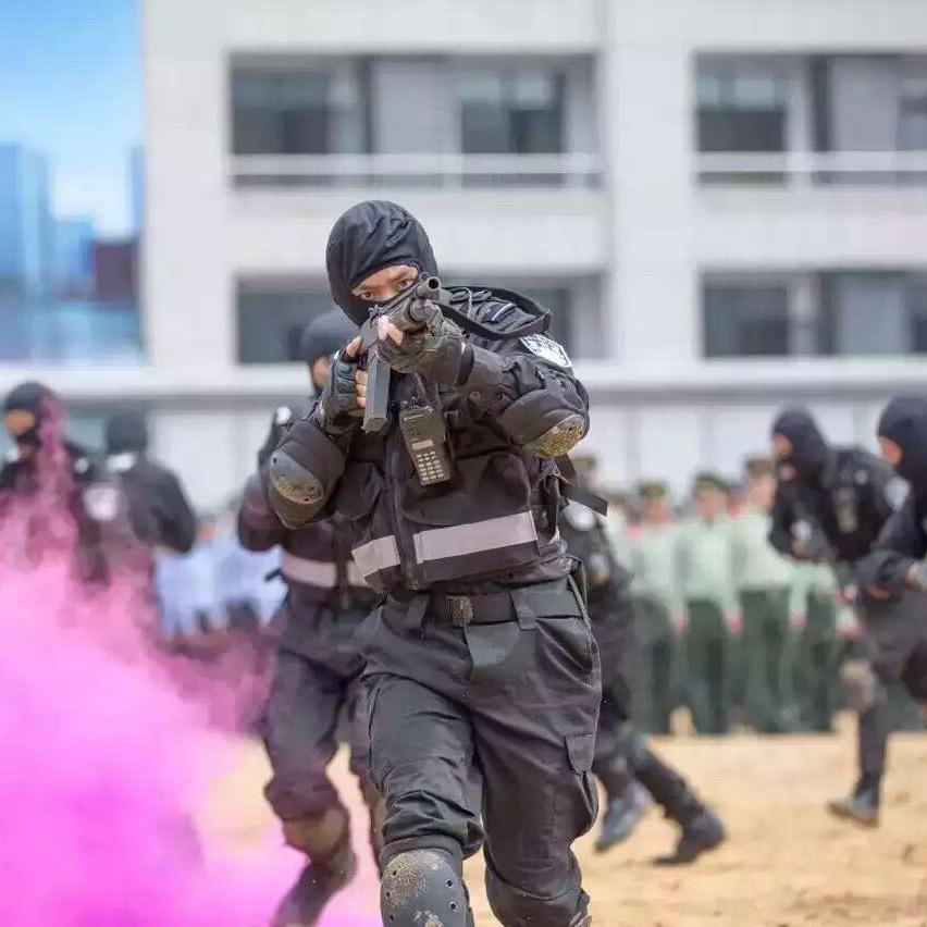 蓝鲨