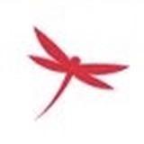 红蜻蜓成都品牌推荐官