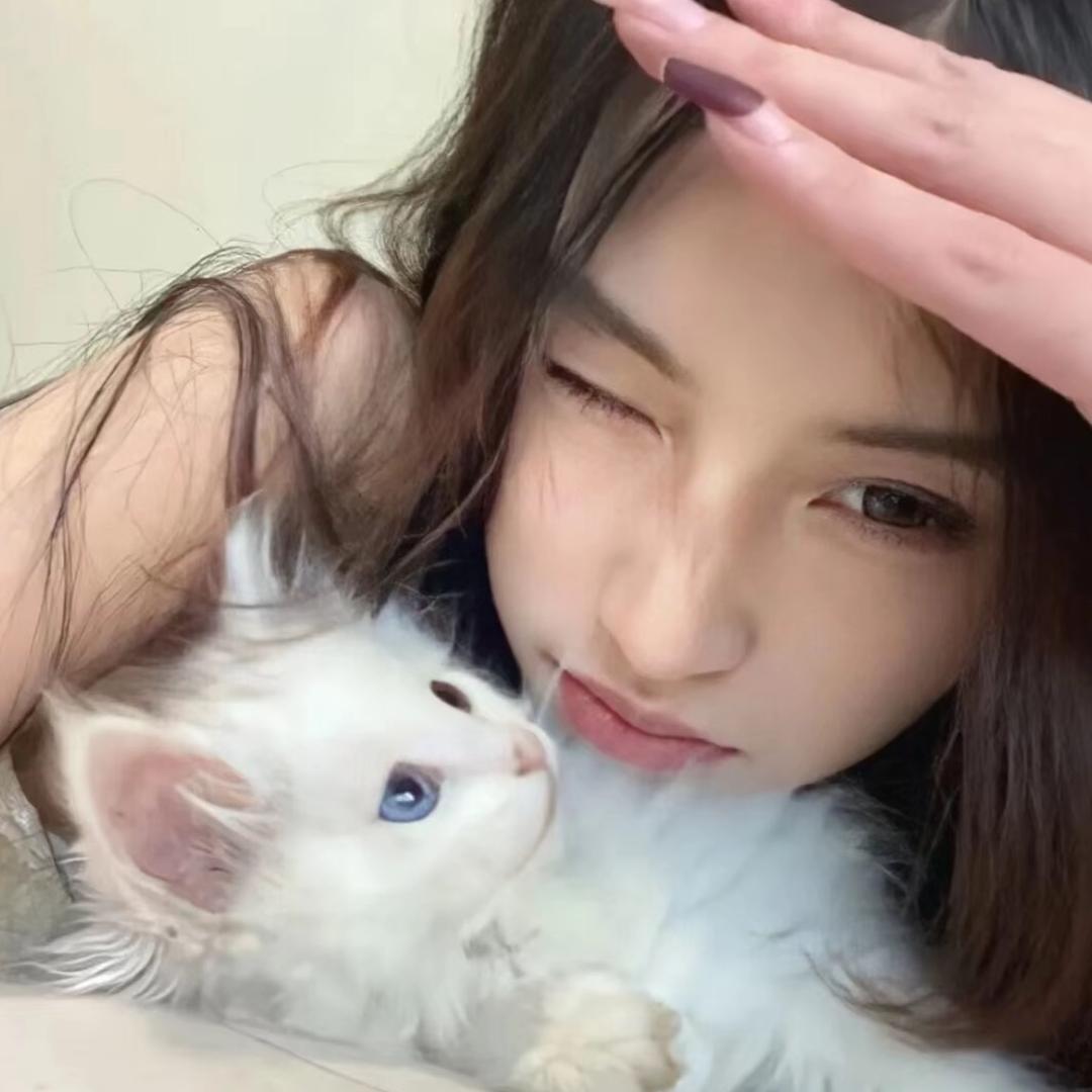 爱宠小猫的约定