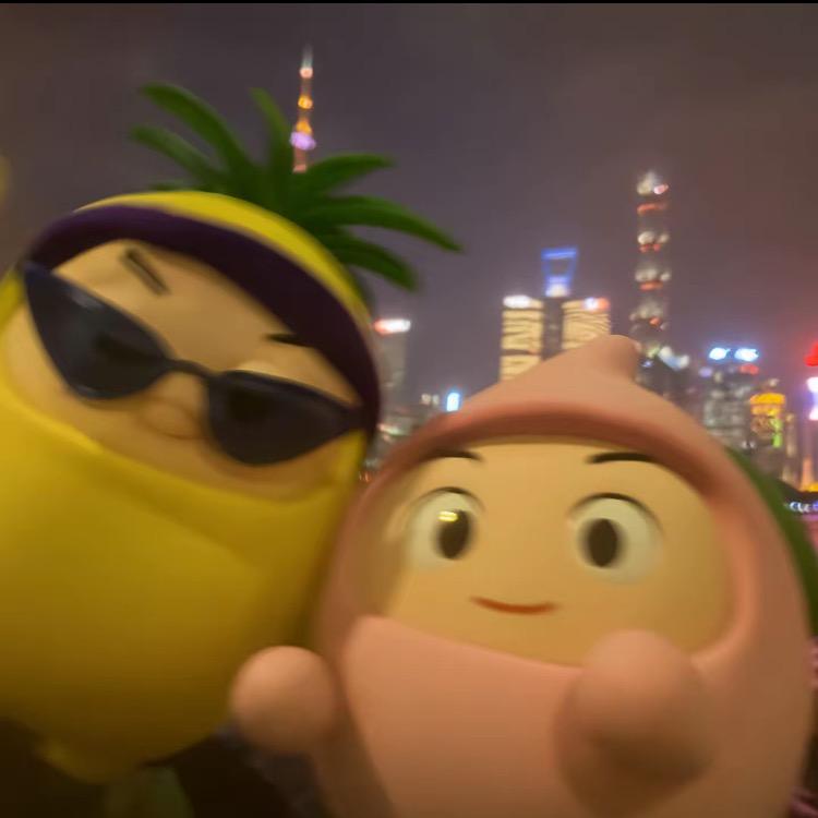 广州新哲礼D垂直号