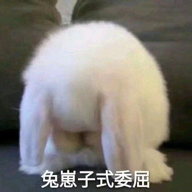 万货恒堂弟.宠粉号