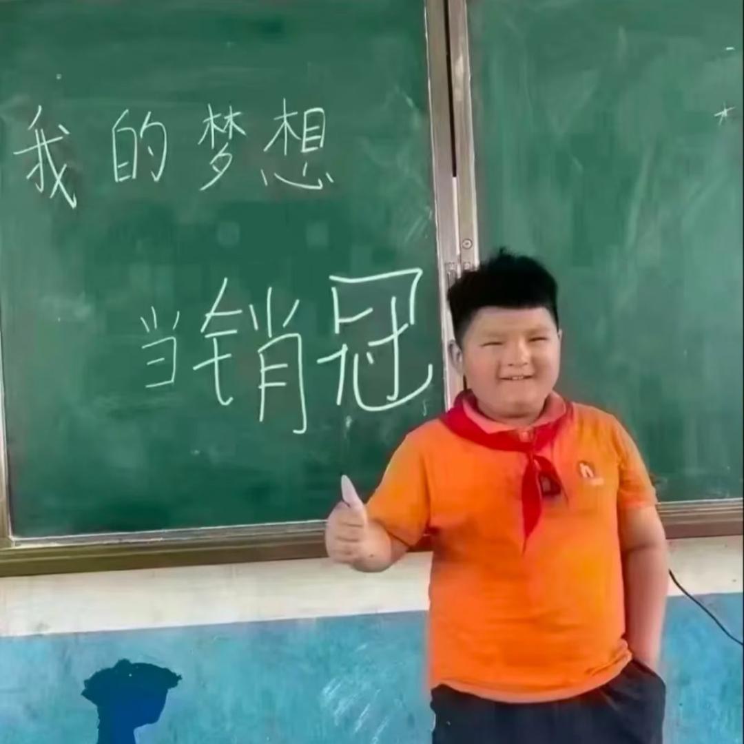 重生之我在比亚迪当销售