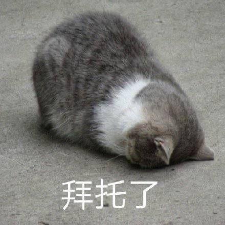 农夫三拳phil