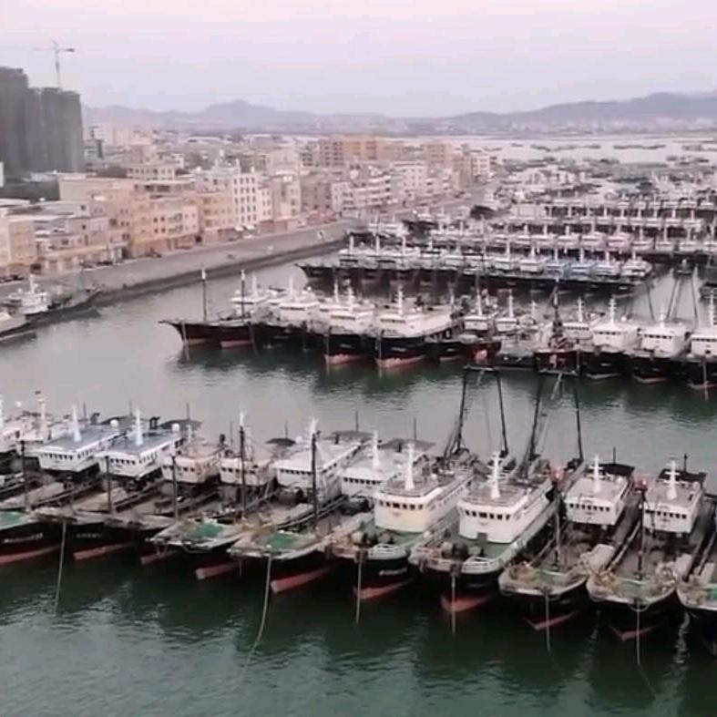 海鲜大量批发
