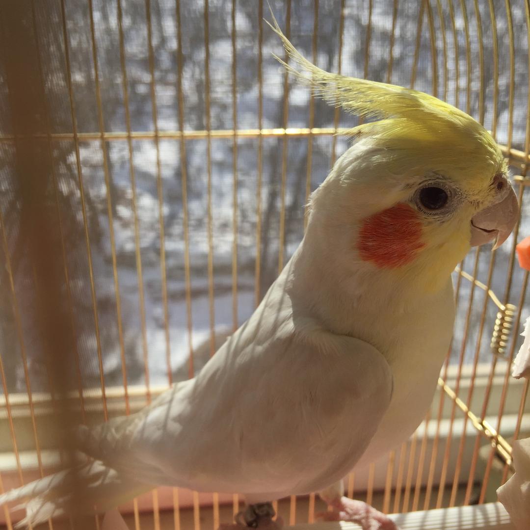 爱发呆的吐司🍞