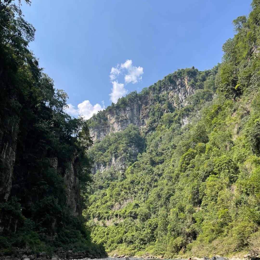 跑跑王(三角洲行动)