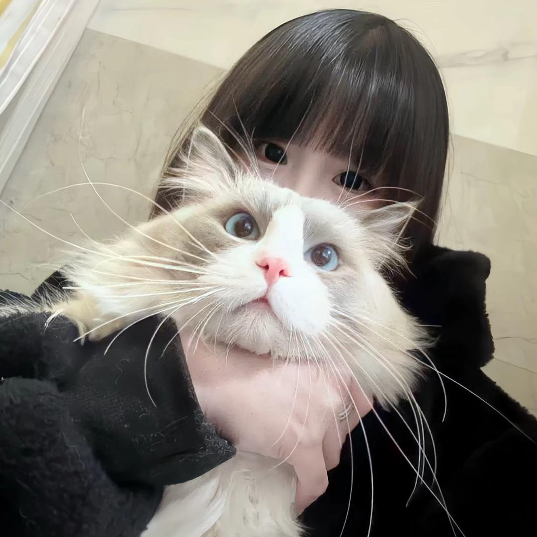 十一月雨