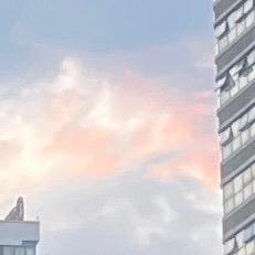 雪儿
