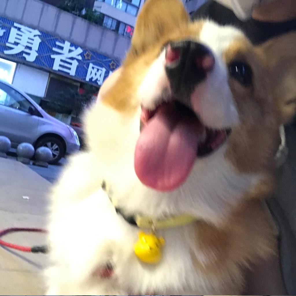 一辆雪糕