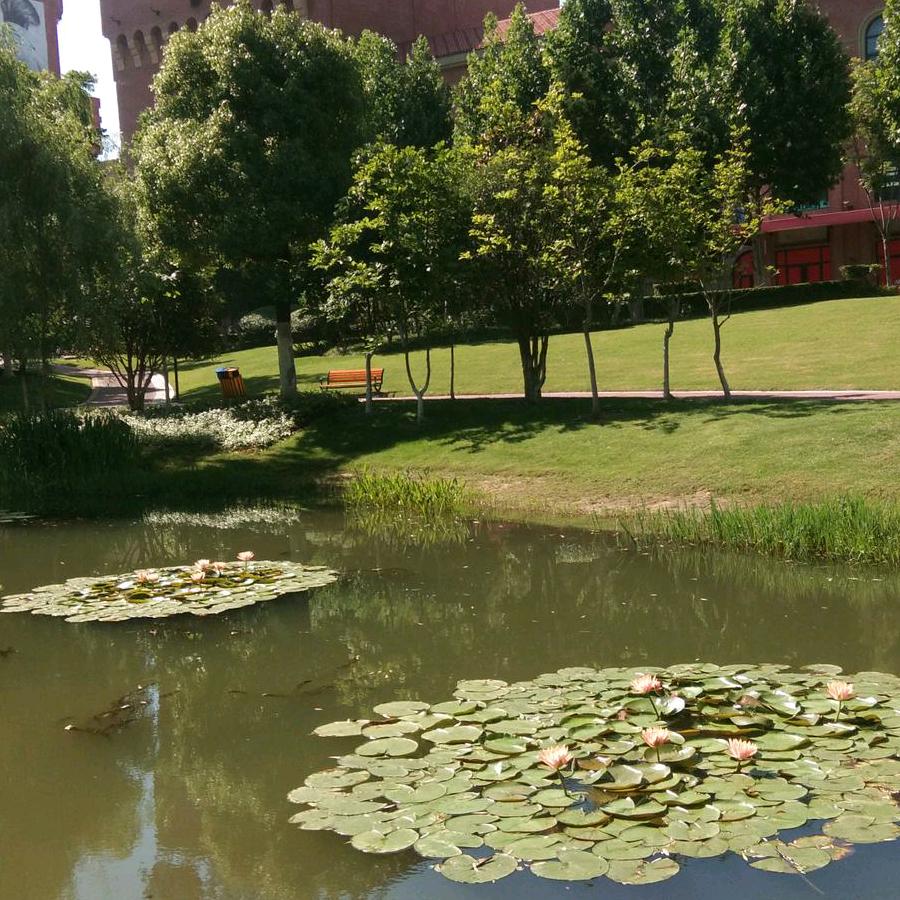 快乐💘💘💘💘💘