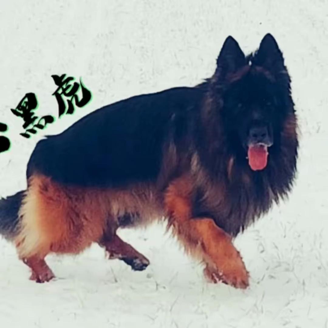 以德养牧