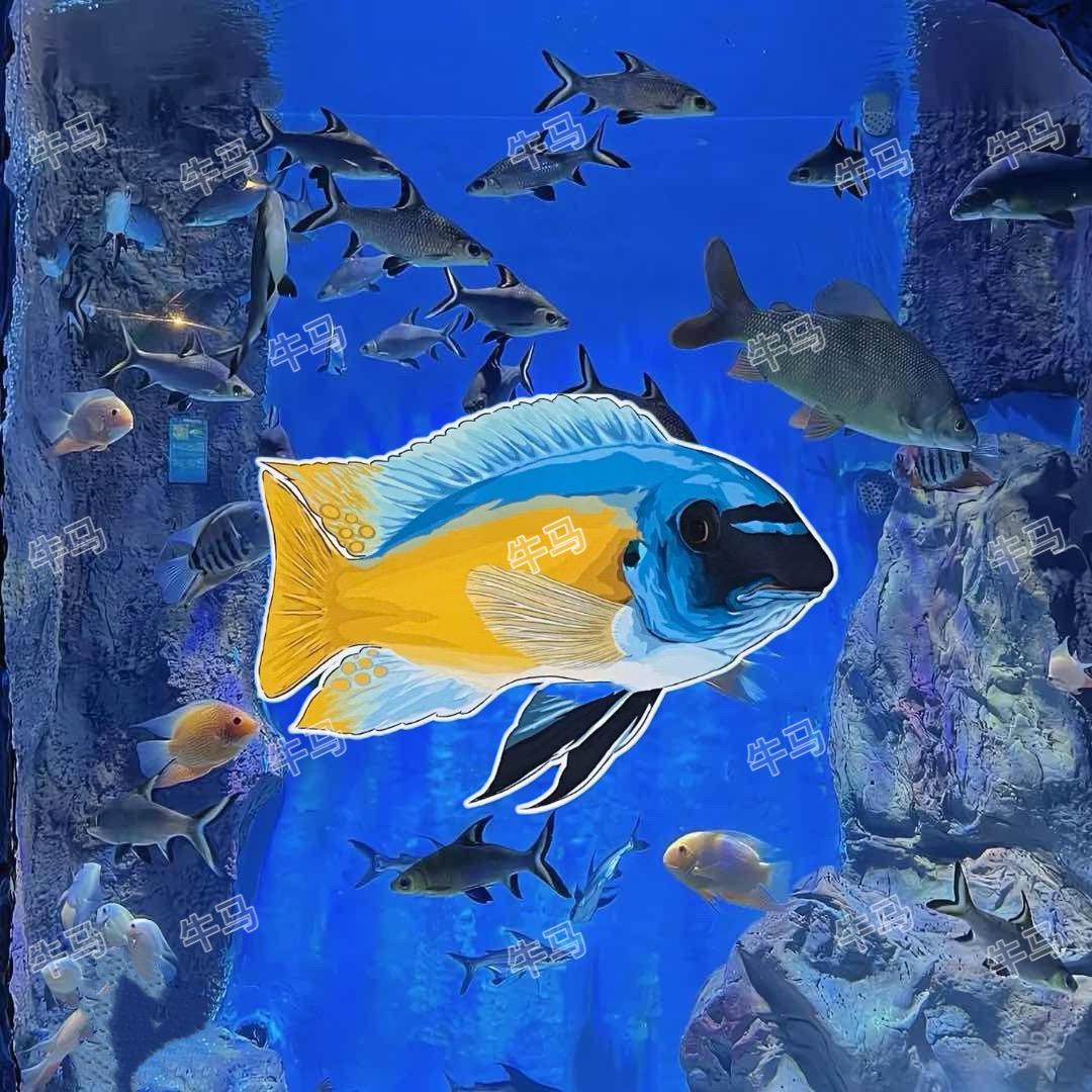 秋风三湖