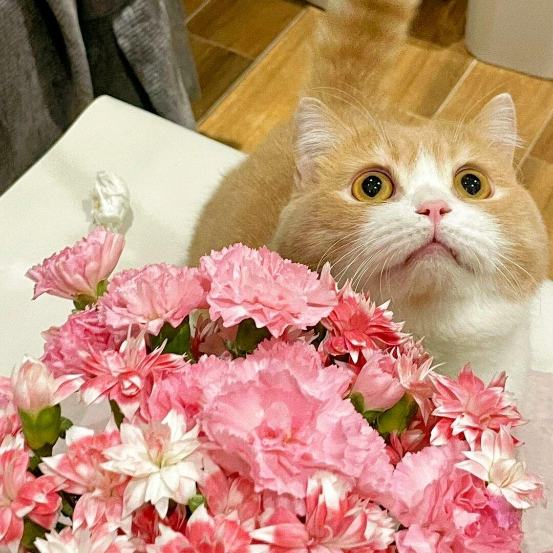 来财^_^