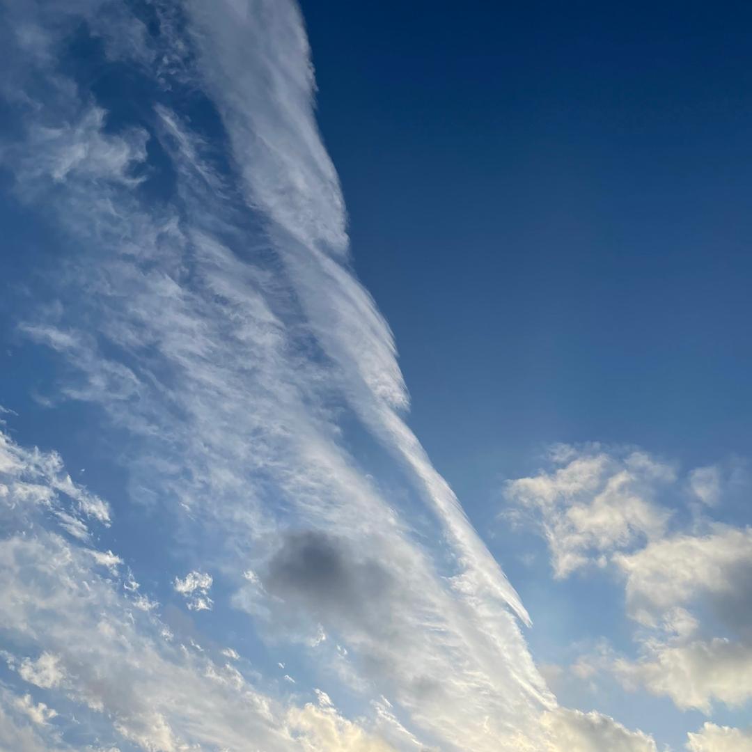 向生活低了狗头🐶