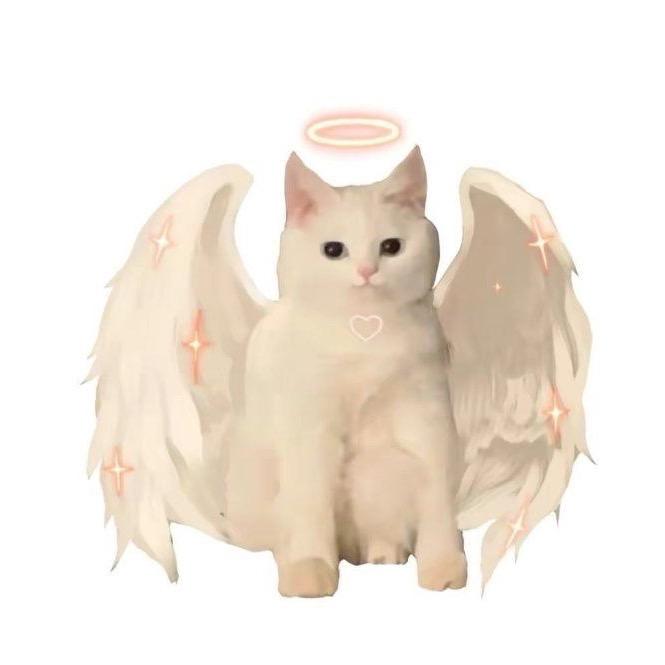 天使小猫