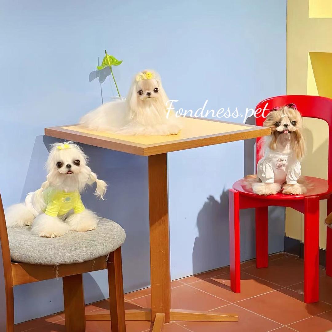 Fondness.pet-偏爱宠物生活馆