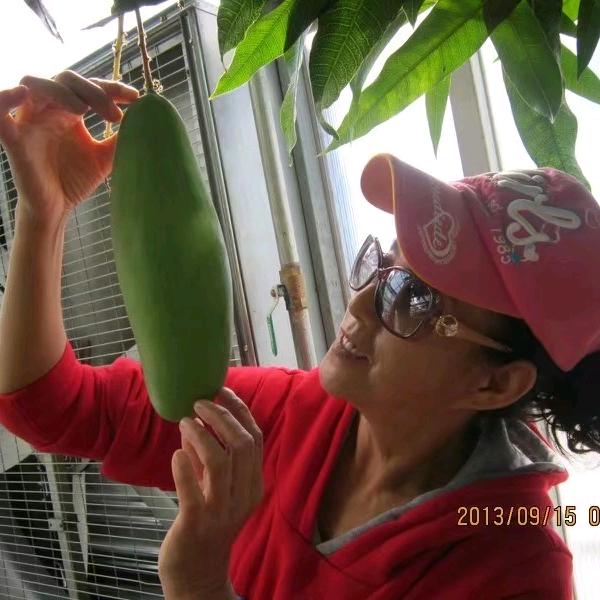 俪质聪慧