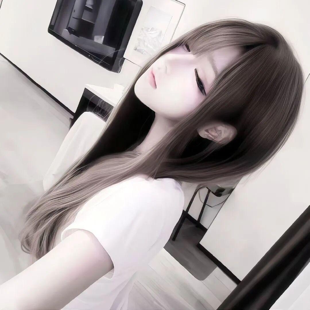 懒猫