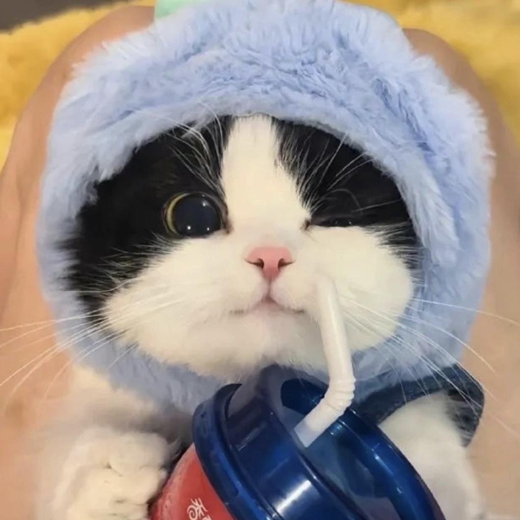 火腿