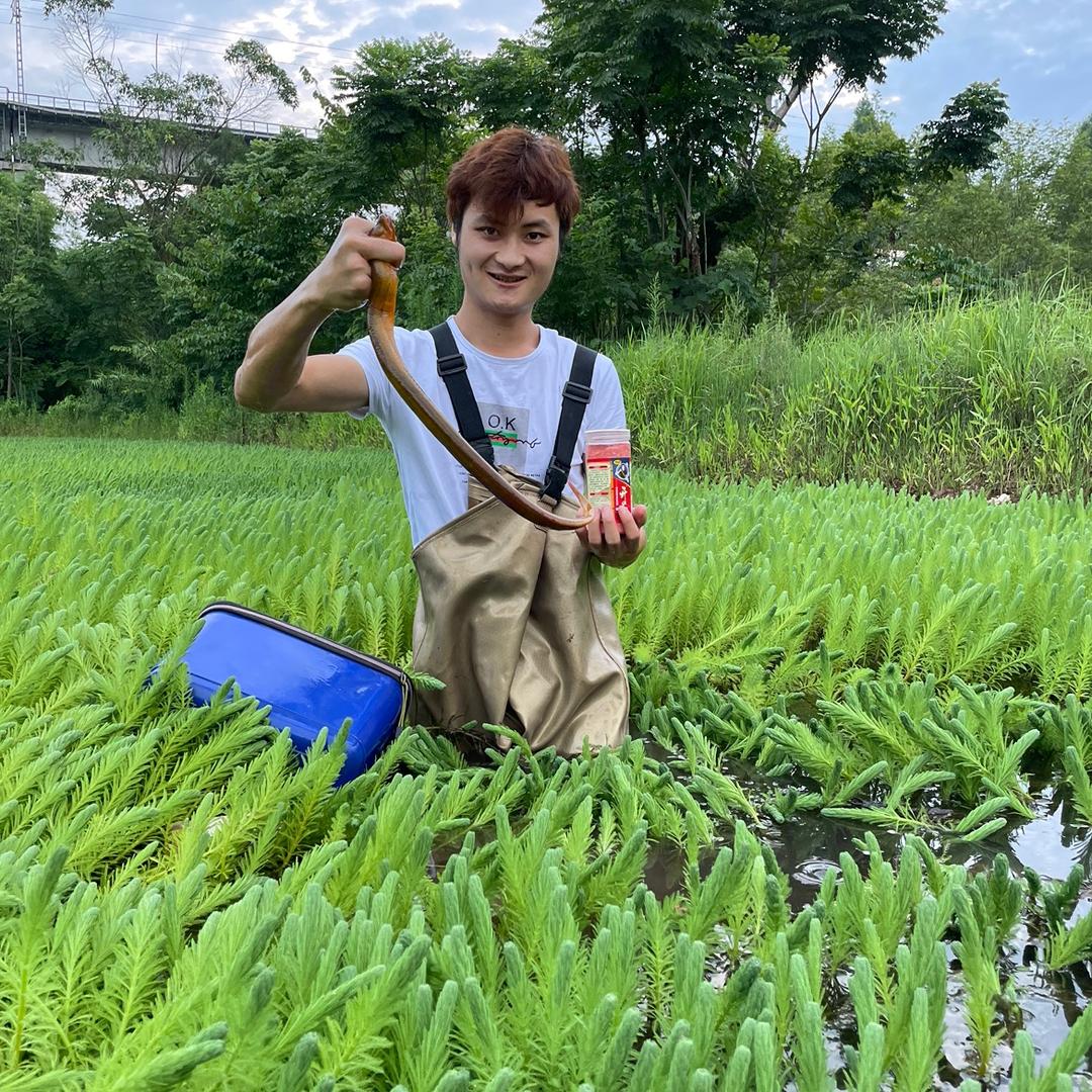 熊娃户外（开启全国户外打野）