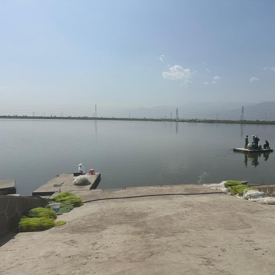 毛豆妈妈的海鲜店