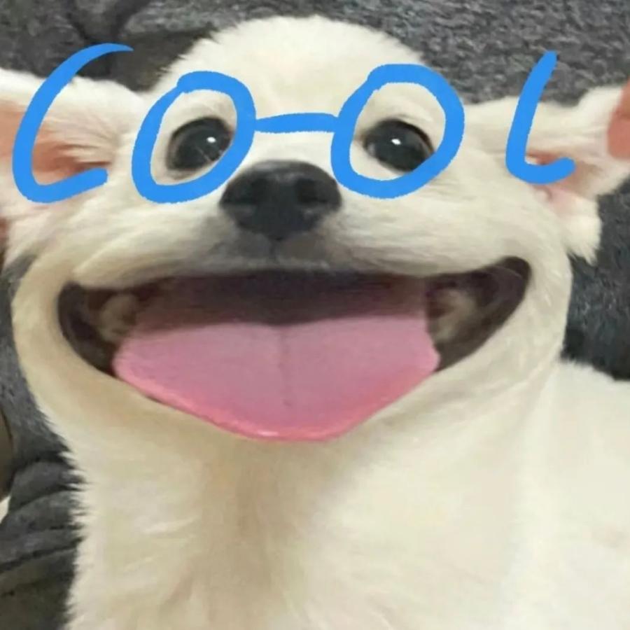 卷毛有点沉