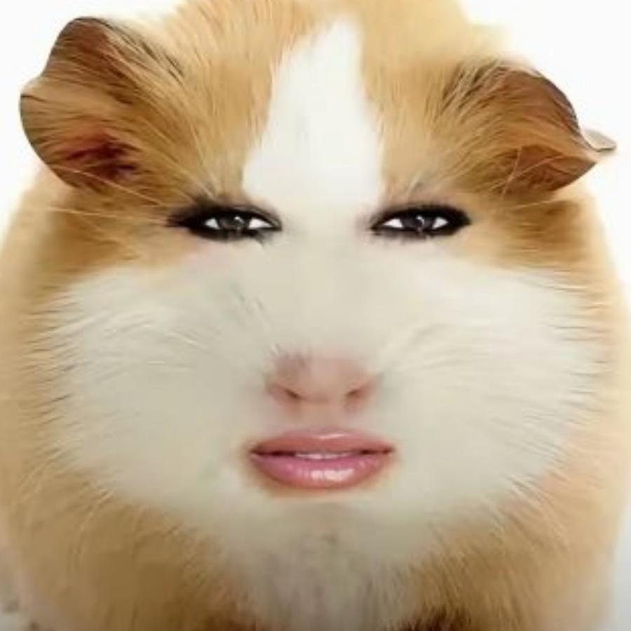 如何成为猪妞