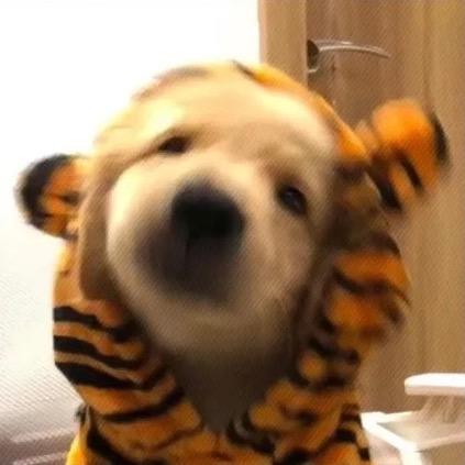 oi