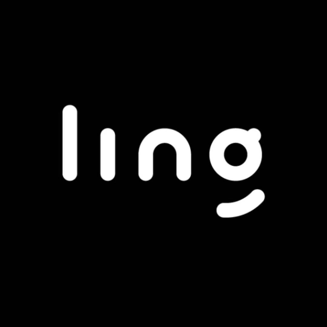 灵宇宙智能学伴机