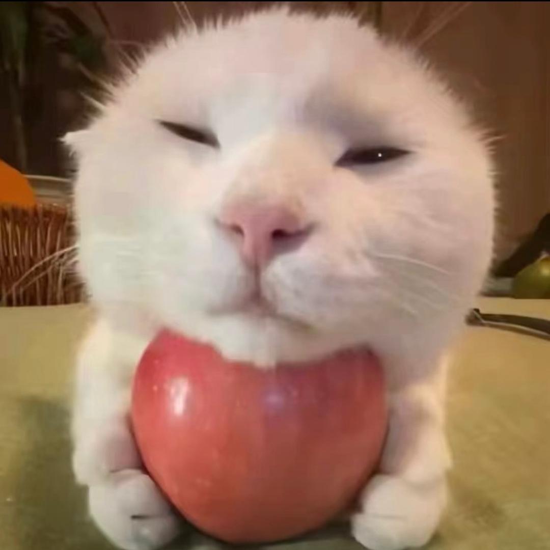 超级无敌帅