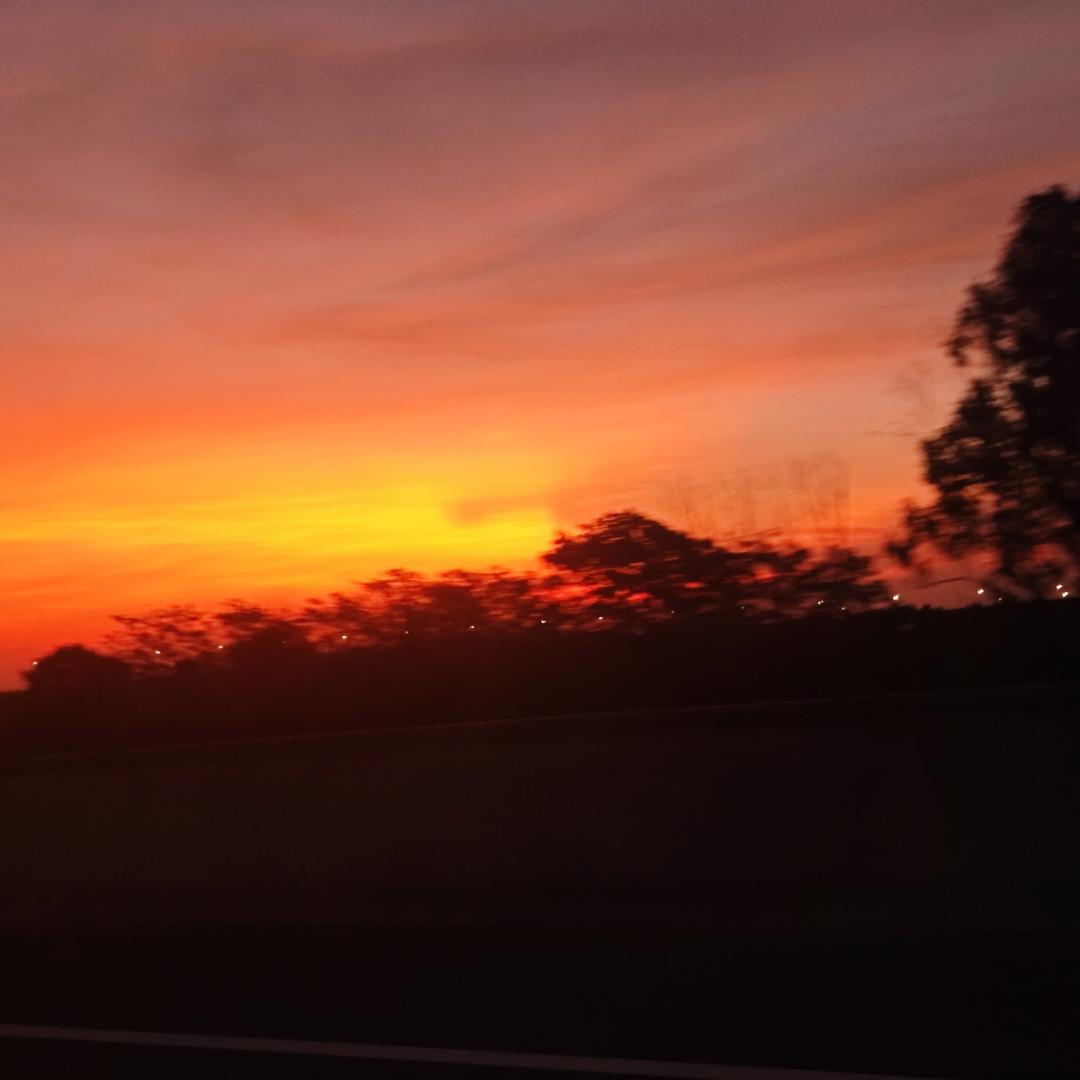 重生之我在抖音卖米桶