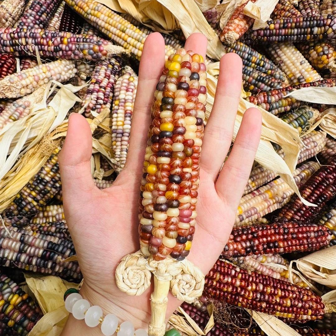 蛋蛋玉米品质臻选坊