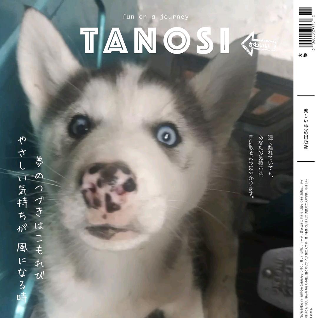 三月江南