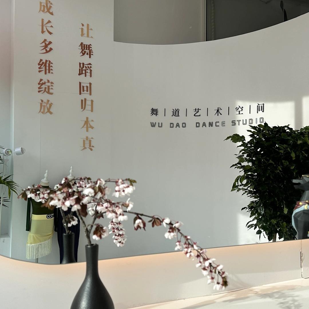 舞道小跟班