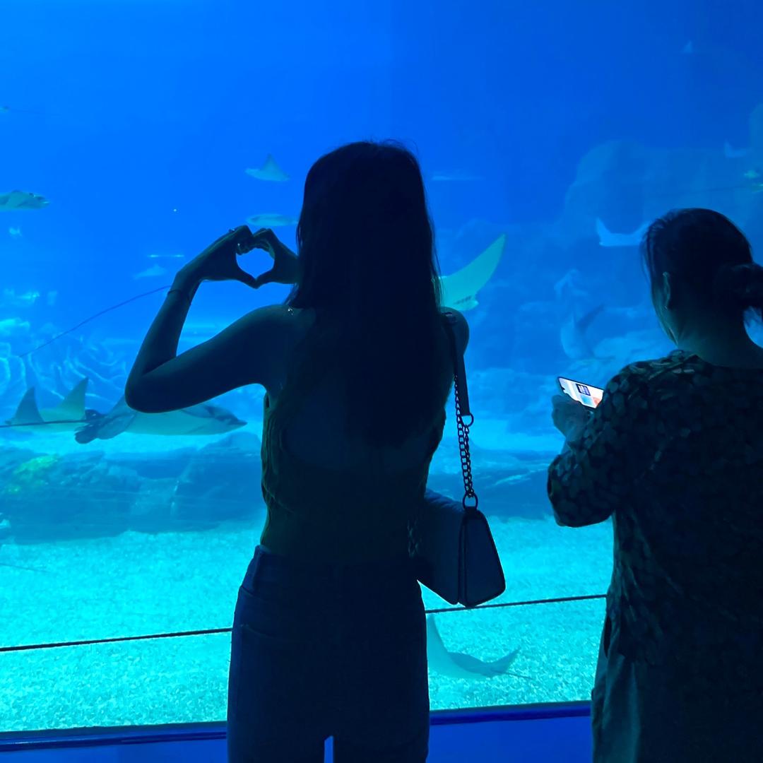 ✨ Happy☀️ л̵ (ᕑᗢᓫา∗)