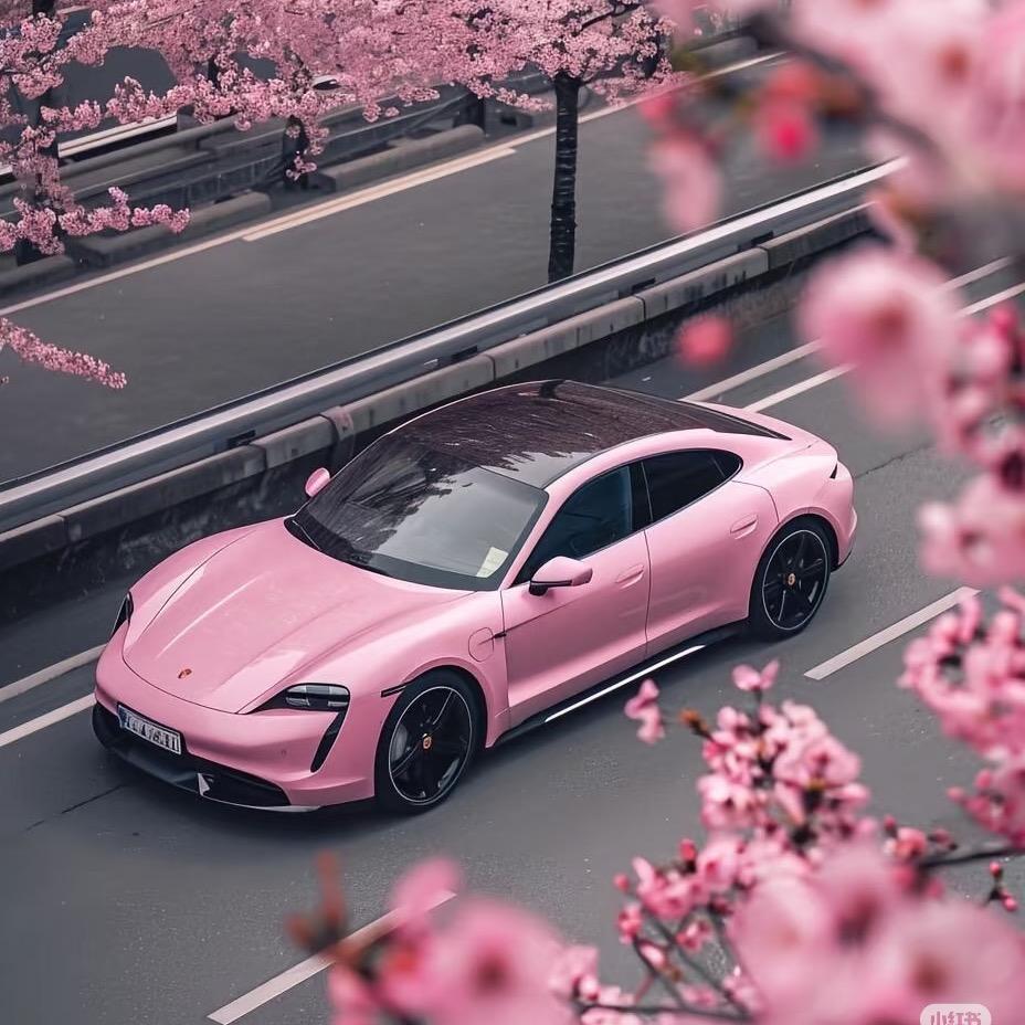 七七说车L