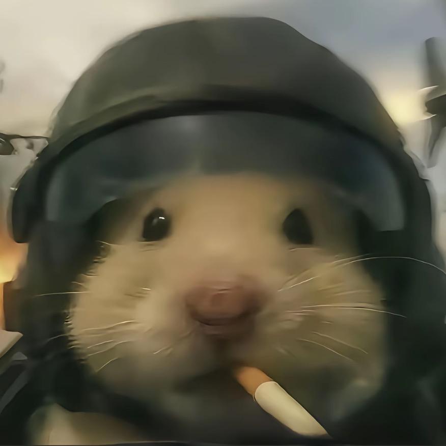 粥菜鼠（三角洲行动）