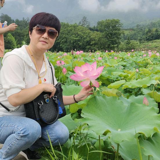 清风徐来:徐玲芬