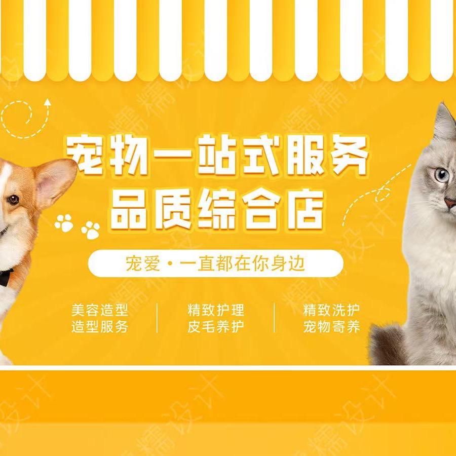 小霸汪宠物生活馆官方号