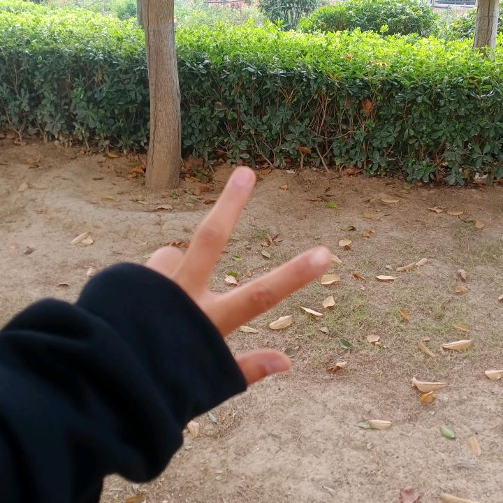 郑