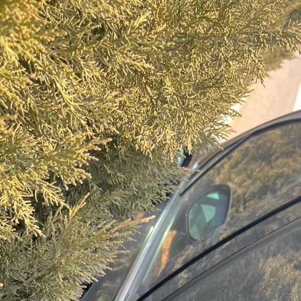 三好百货商店(两龙路店)退回吧直播号